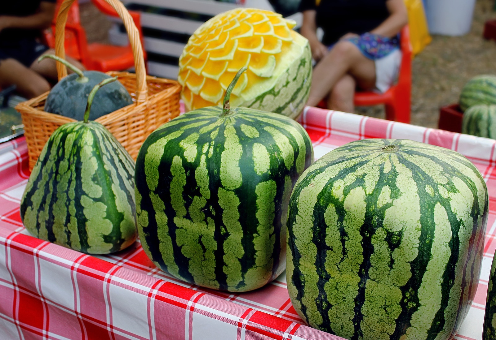 Cubic, square, triangular watermelons.