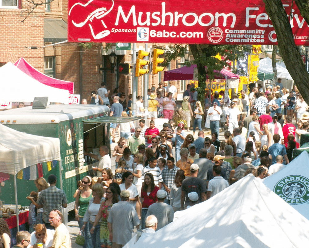 Your Complete Guide to Square's 29th Annual Mushroom Festival