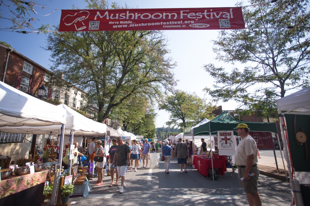 are dogs allowed at kennett mushroom festival