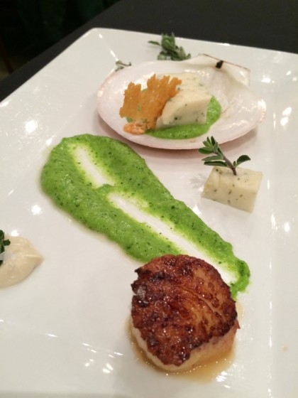 iron hill ch competition scallop