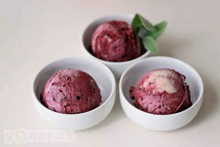 Best cheap yonanas recipes