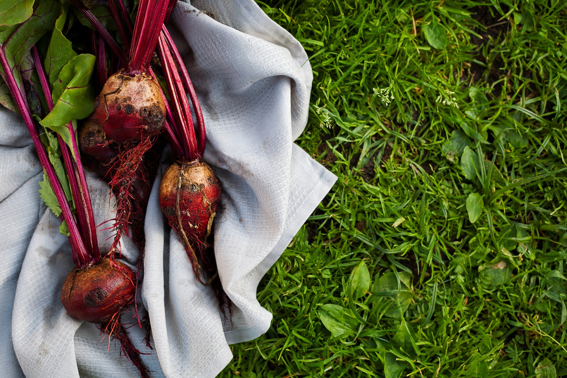 Find Local Veggies : PA Veggies