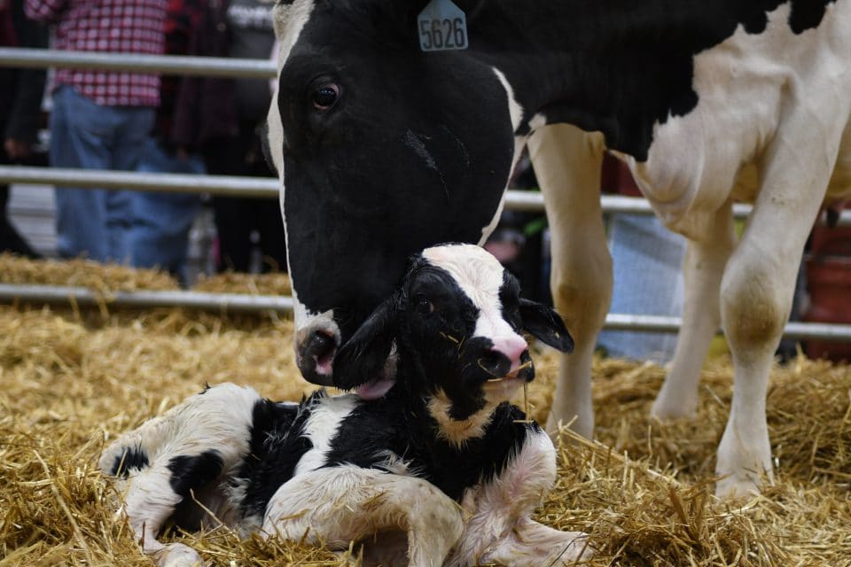 PA Farm Show