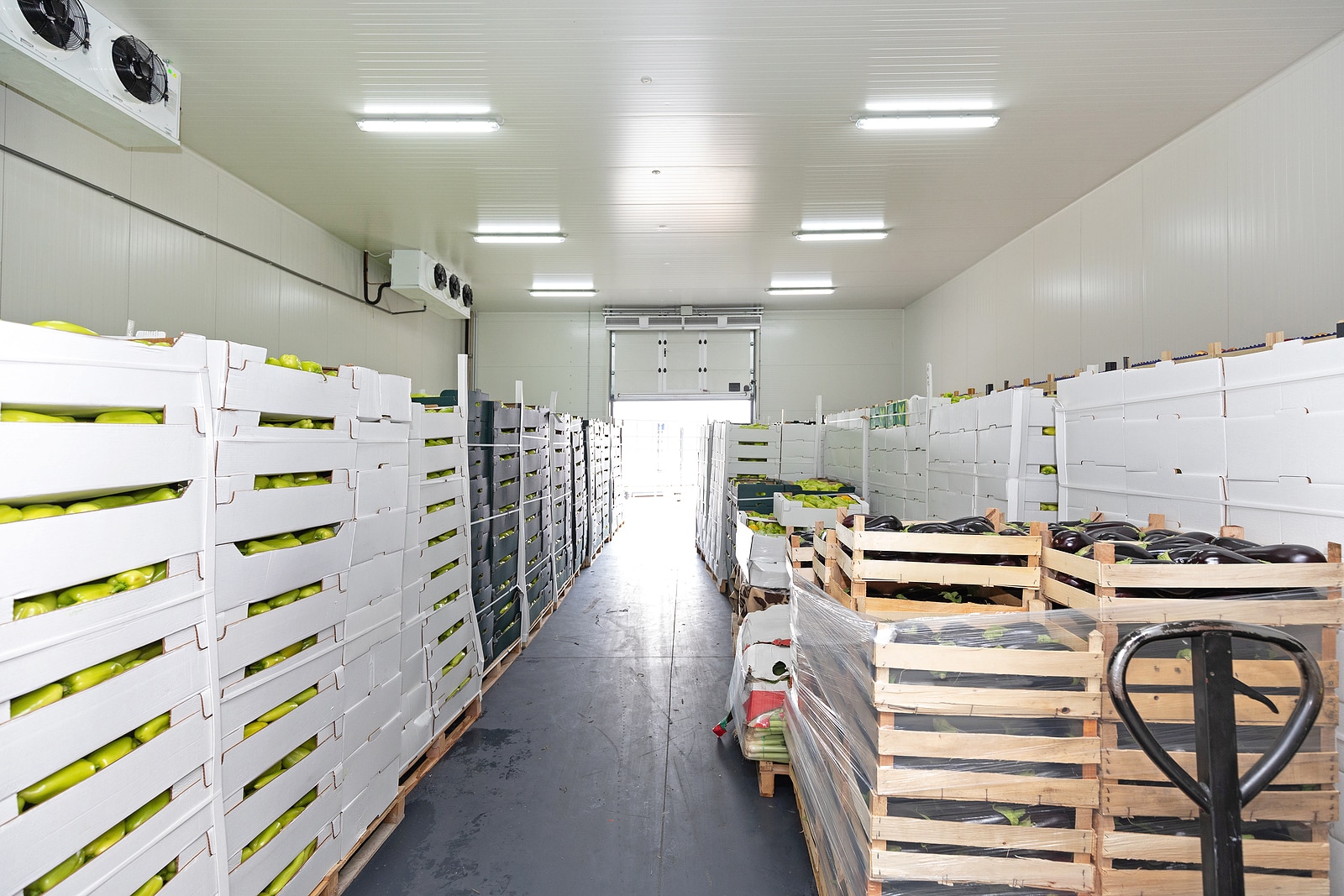 Fresh food in boxes and pallets inside cold storage.