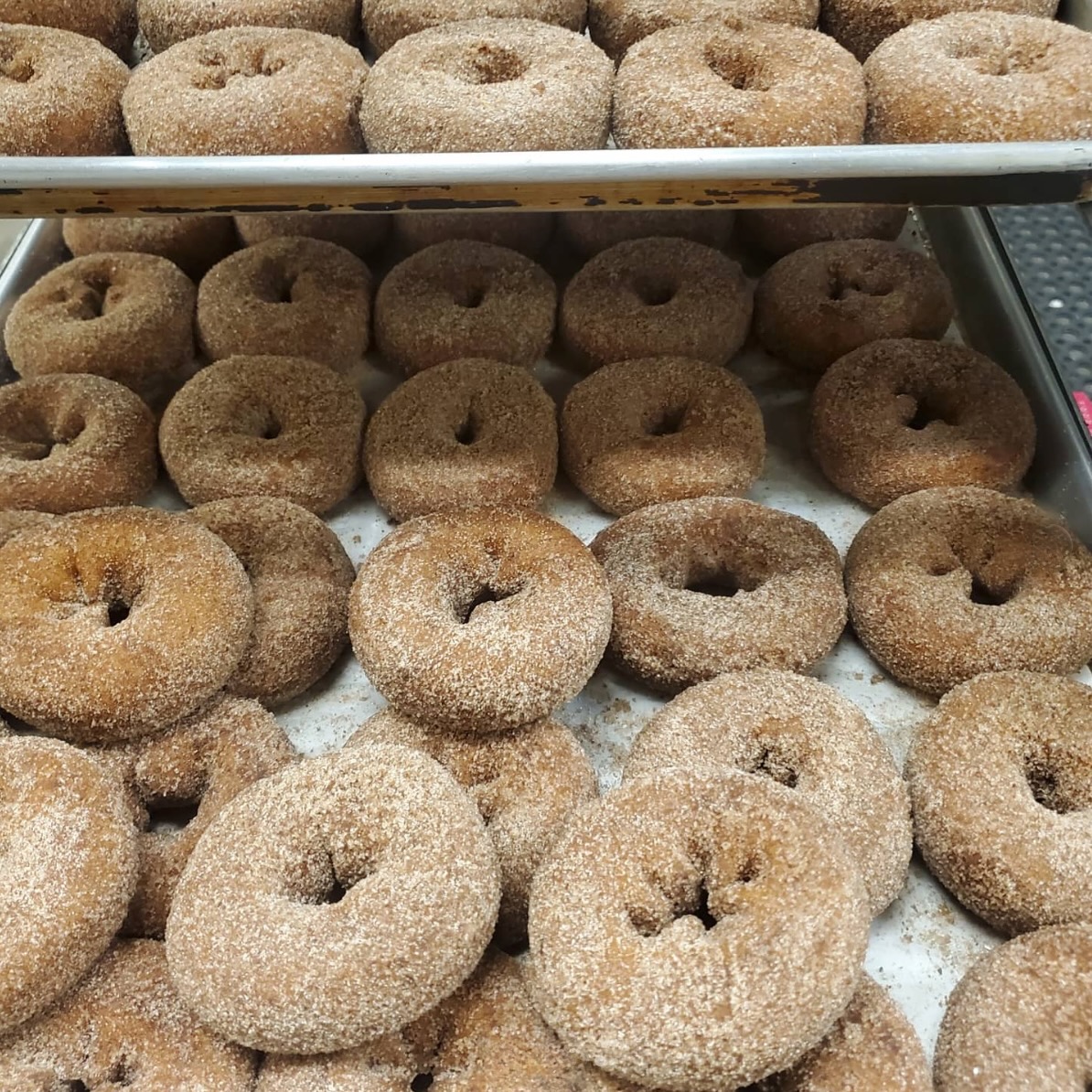 Apple cider donuts on trays.