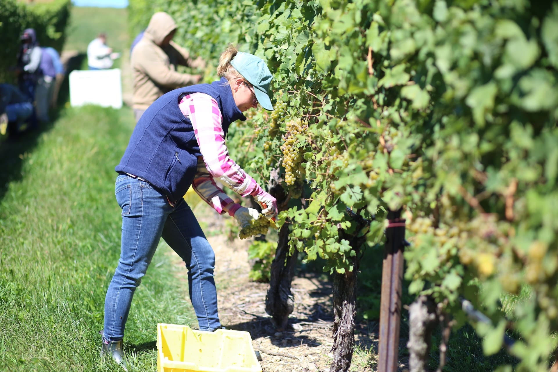 Galen Glen Winery Erin Troxell