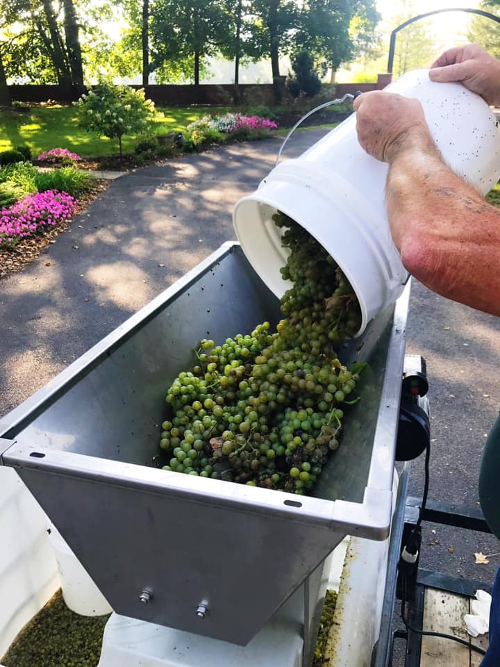 pouring grapes at Juniata Valley Winery