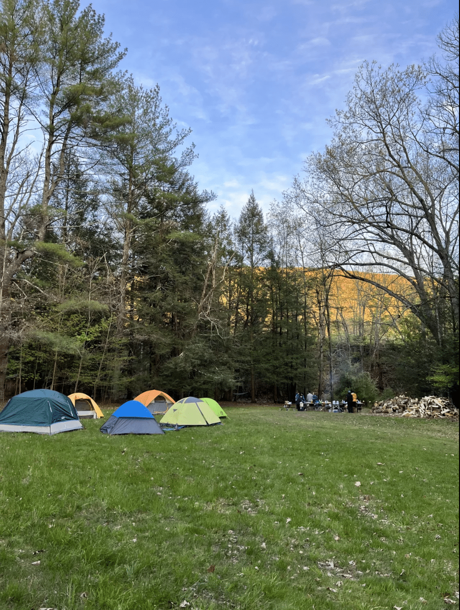 Forks Farm Camping