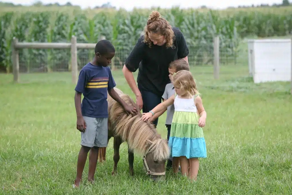 Landis Farm Guest House farm stay