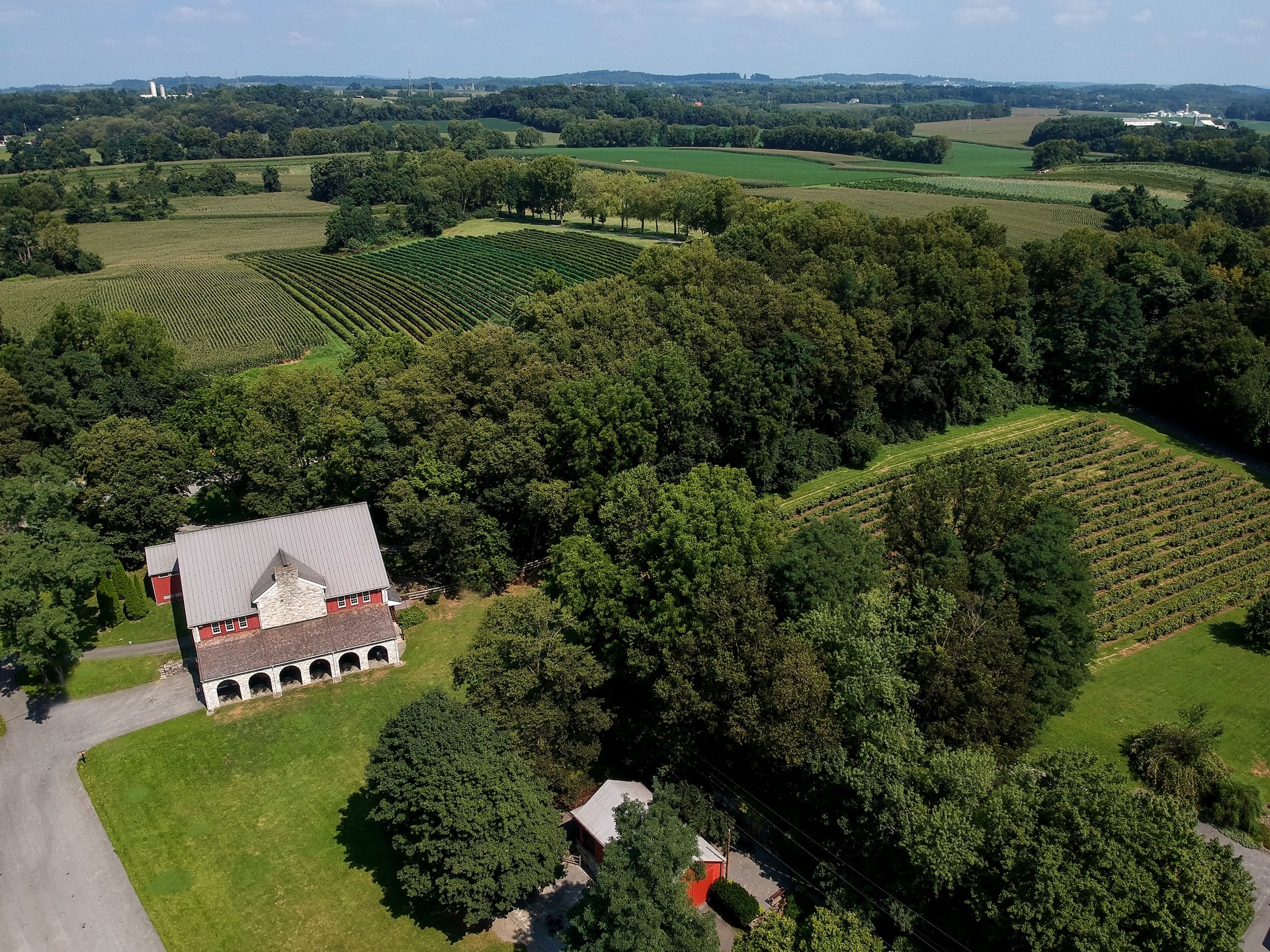 An aerial of the Nissley Vineyards property.