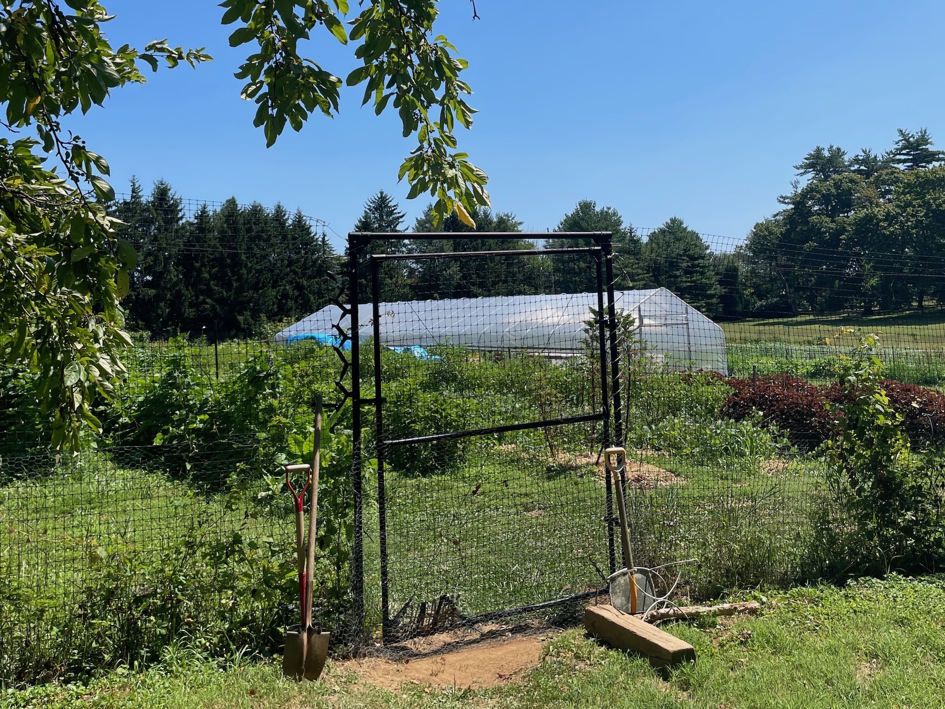 Truelove Seeds Farm in Glen Mills.