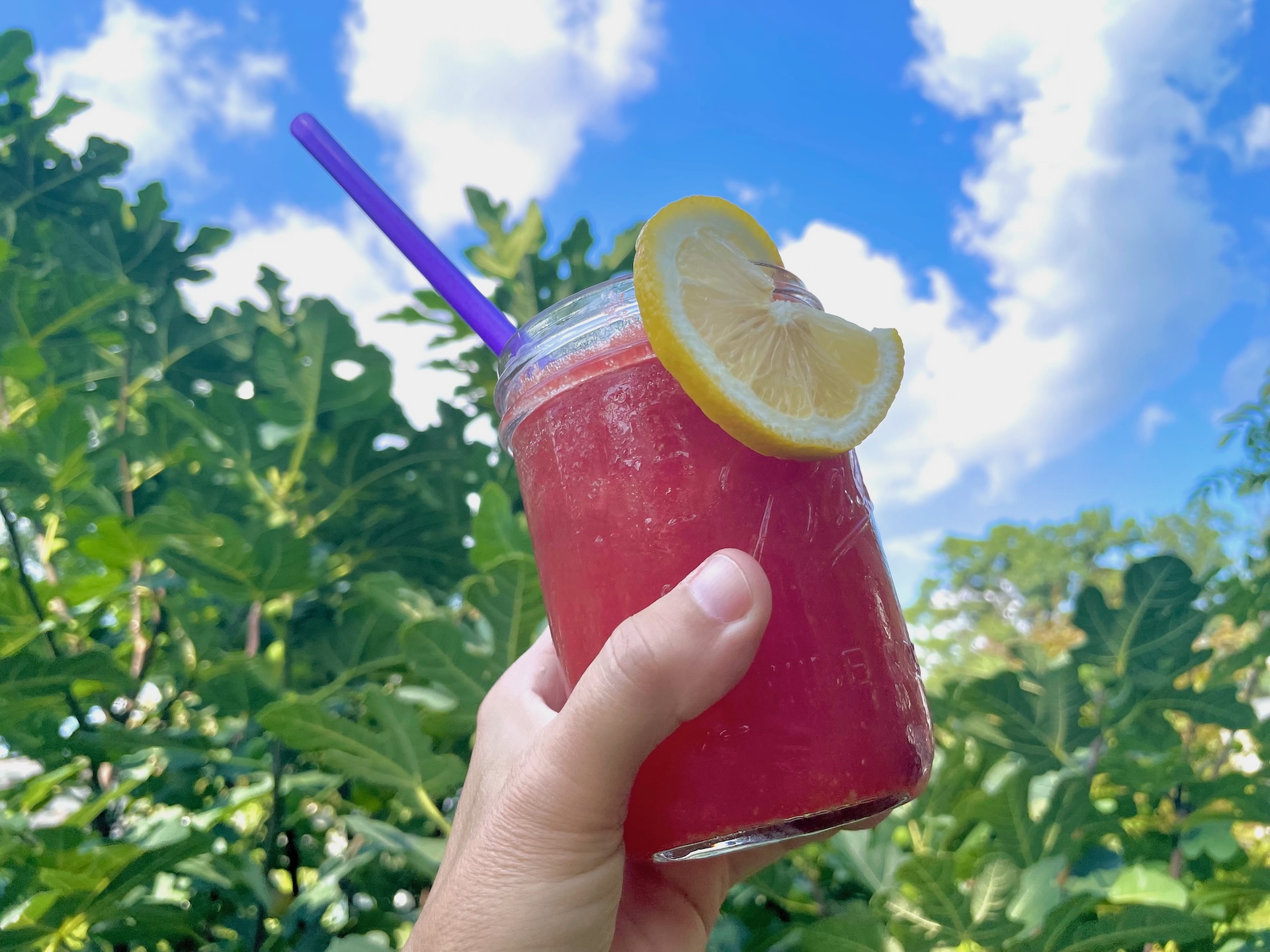 Iced watermelon lemonade.