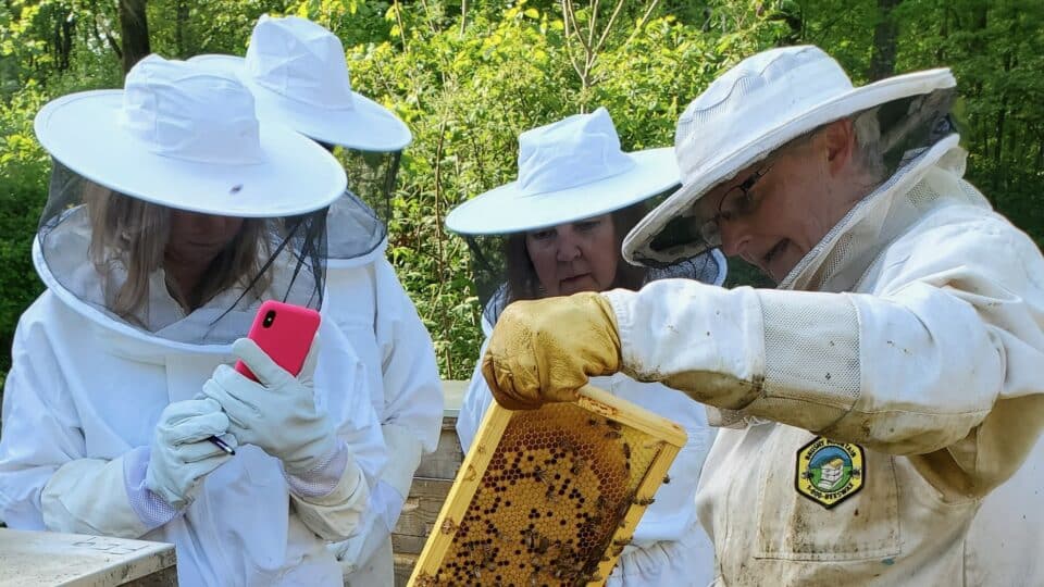 The Beekeeper Experience at Funny Farm Apiaries.