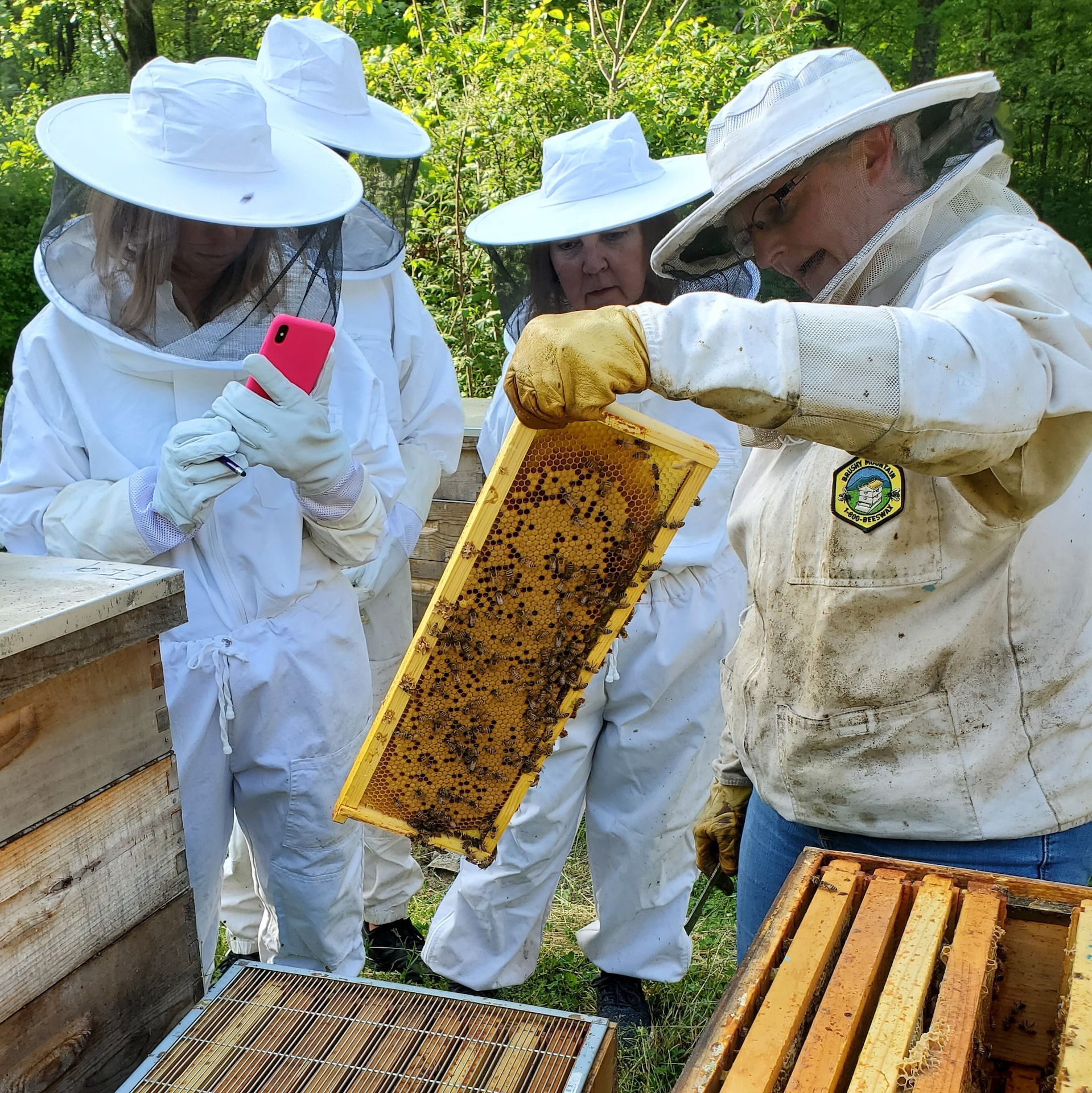 The beekeeper experience with Wendy Fujita.