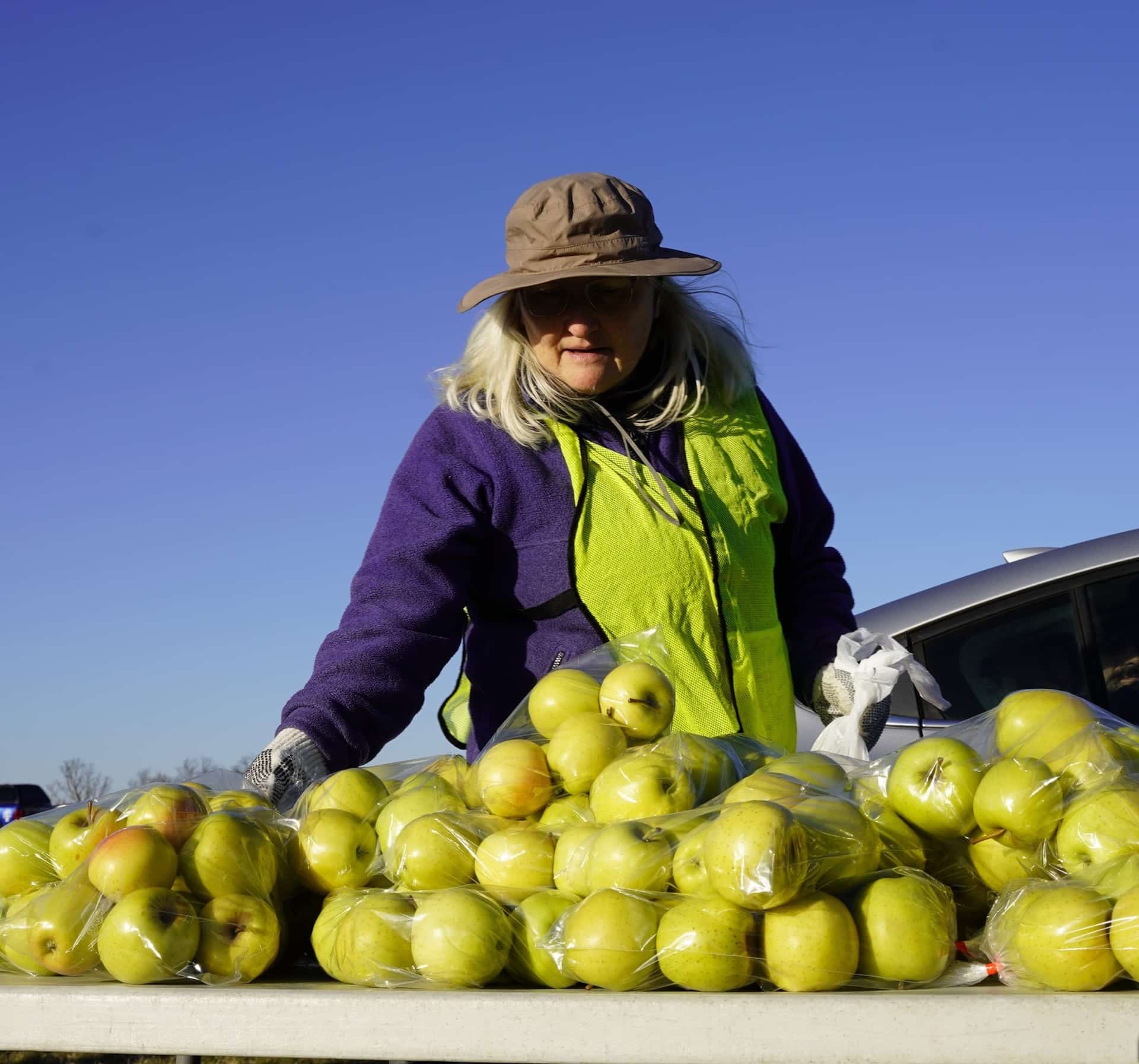 A volunteer sorting apples at the GPCFB.