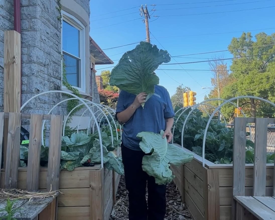 Ash Meadows holding a huge cabbage leaf.