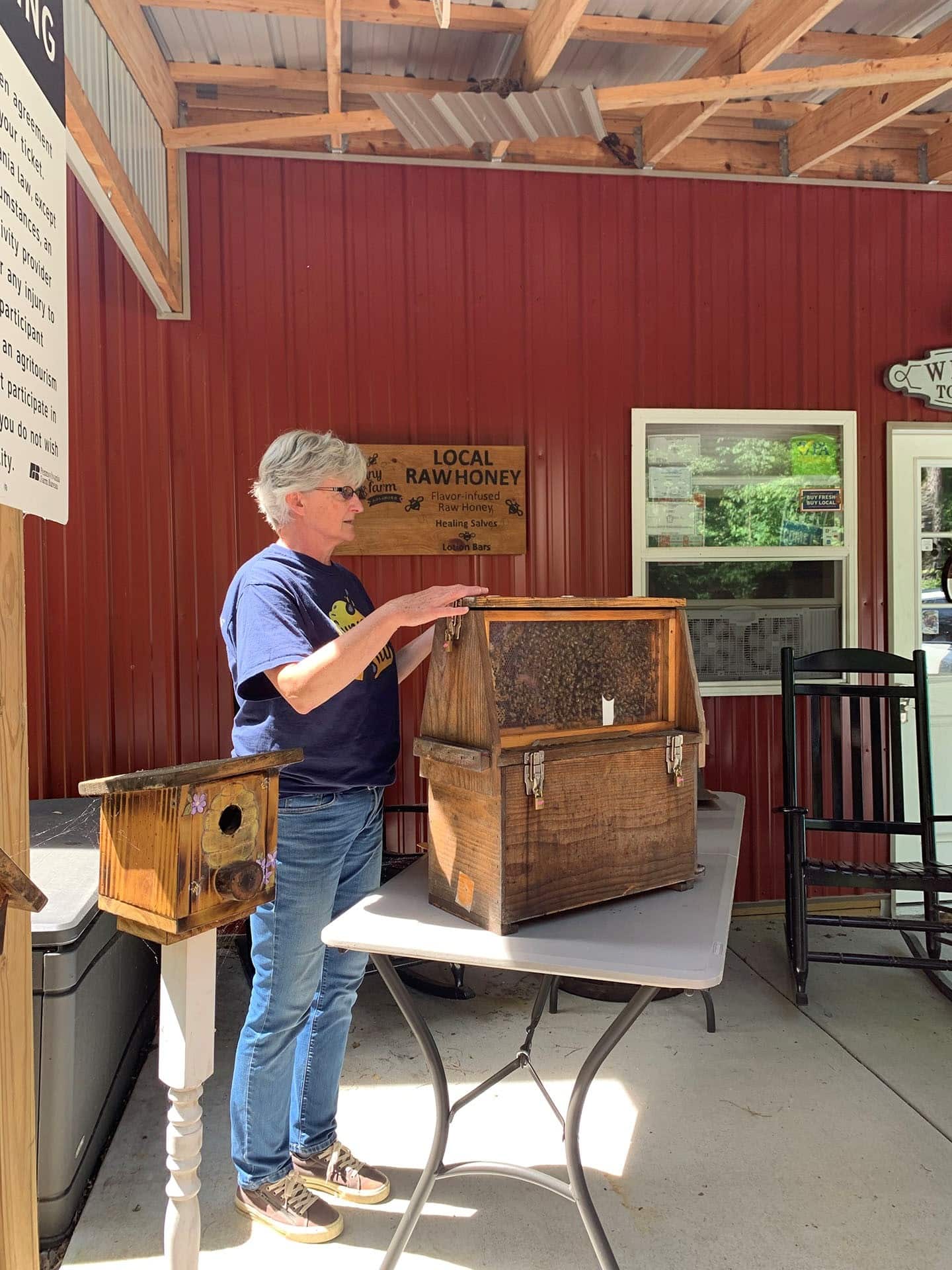 Wendy Fujita with an observation hive.