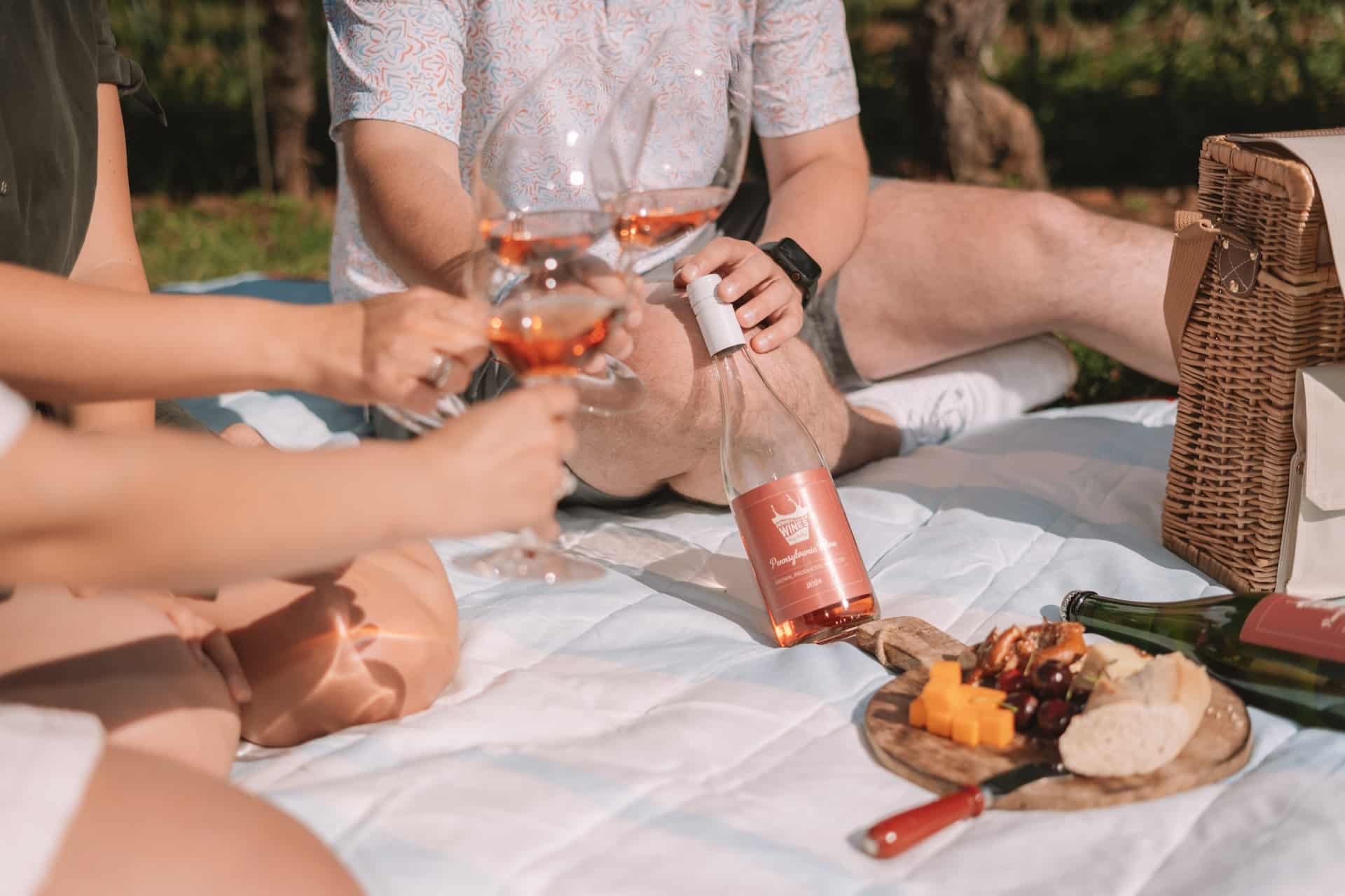 Wine picnic with rose.