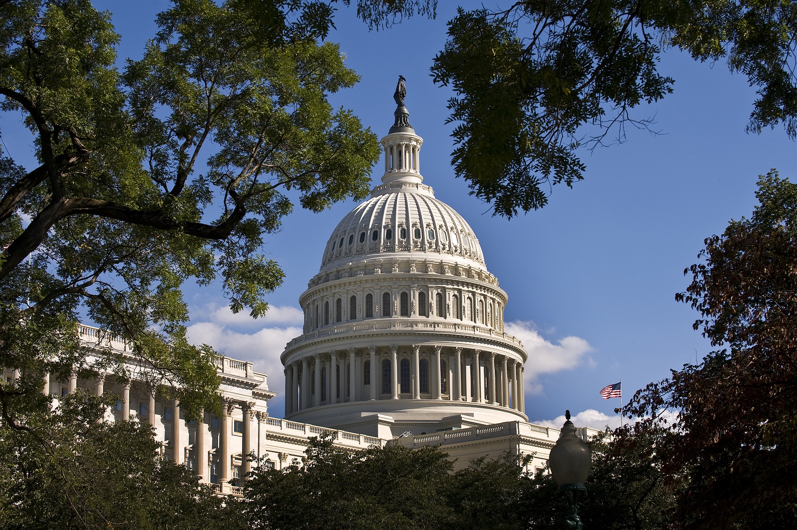 U.S. Capital building in Washington D.C. U.S.A.