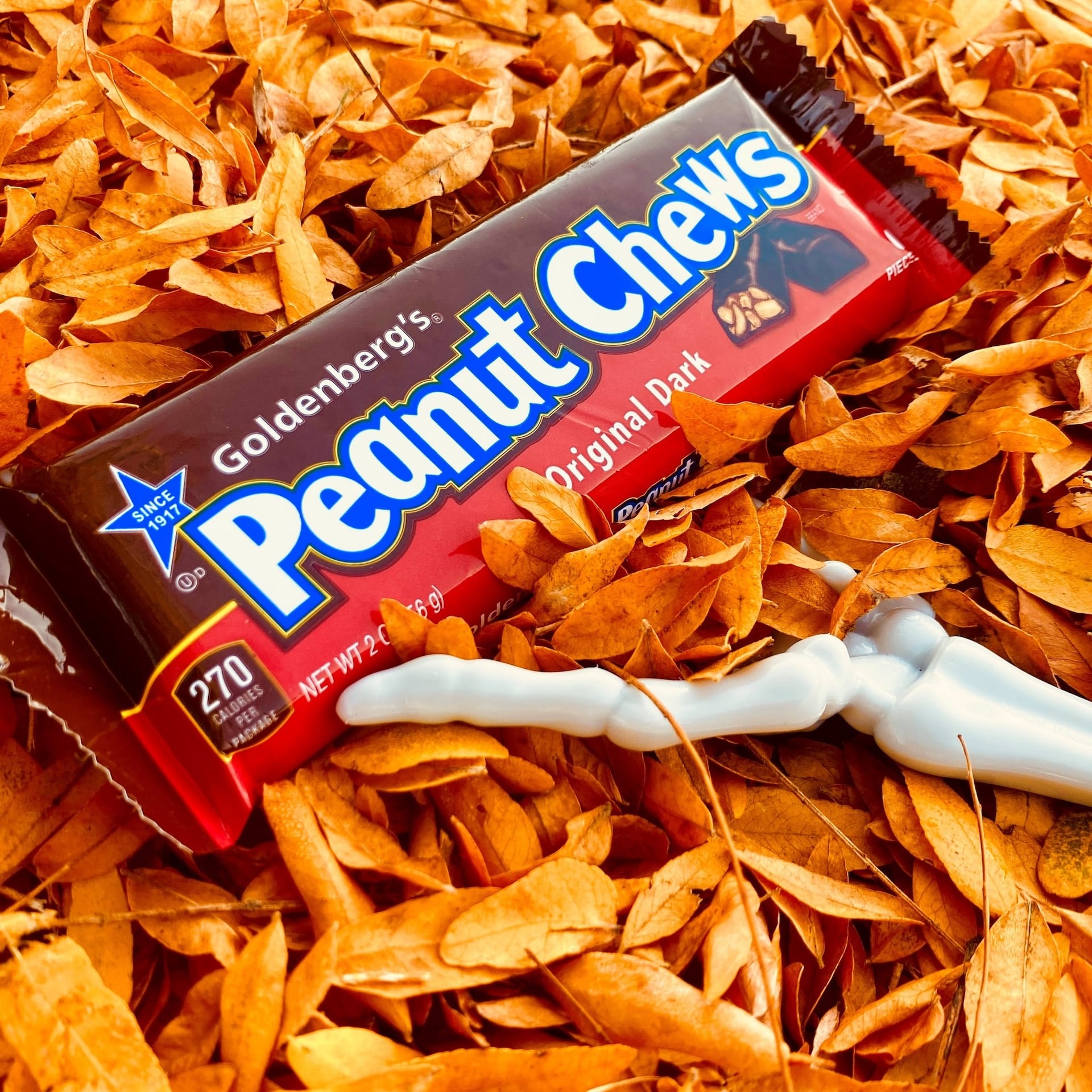 Goldenberg's Peanut Chews laying in fallen leaves.