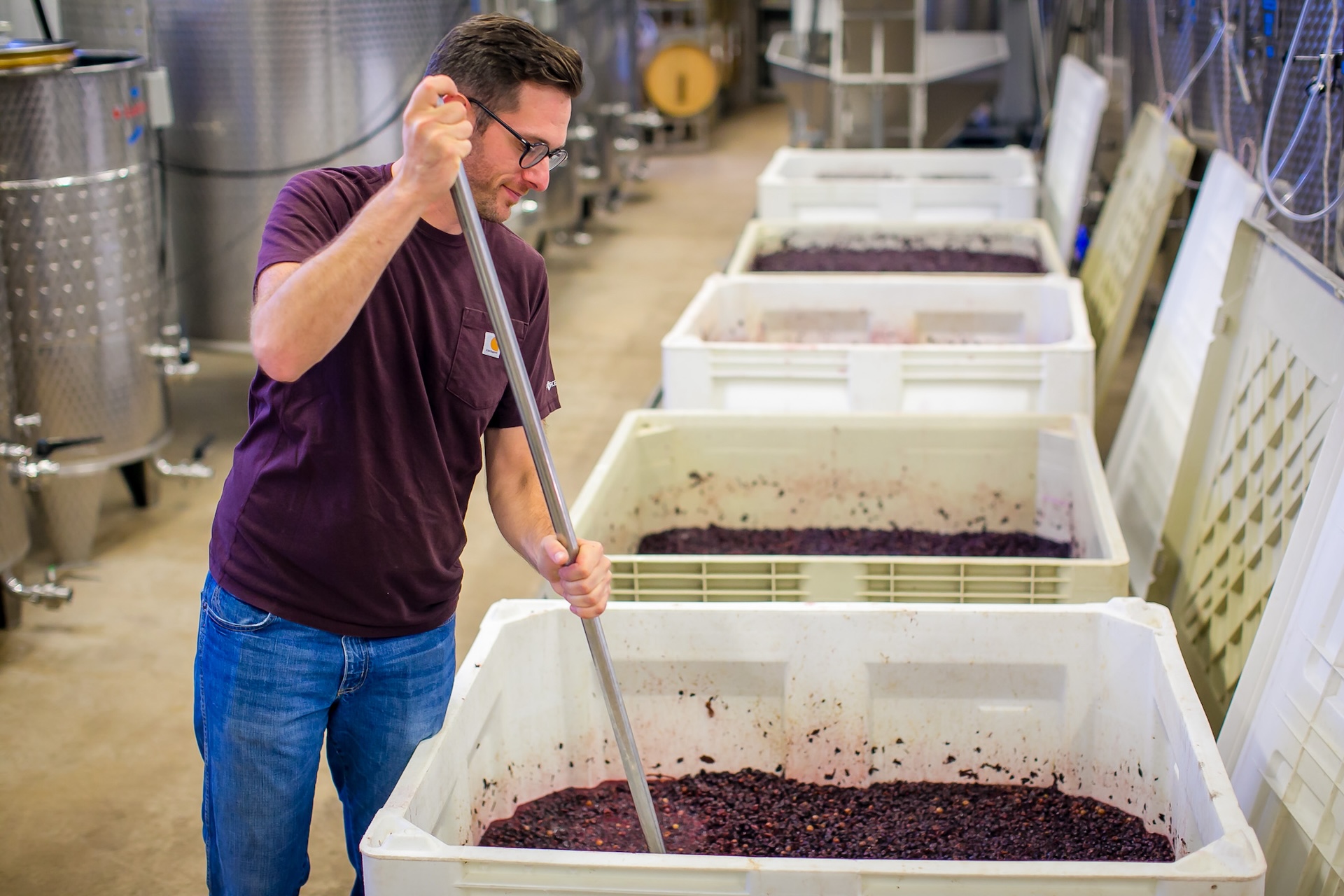 Caleb Wright stirs grapes at Armstrong.