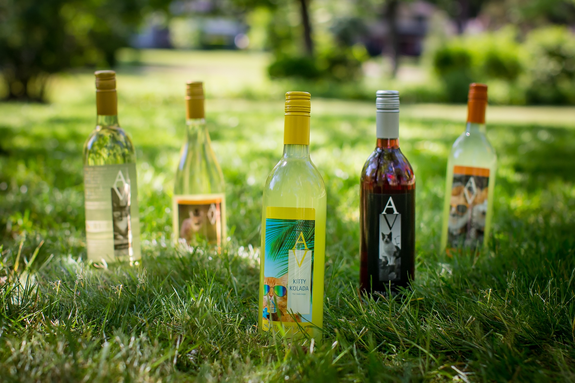 Armstrong Valley Vineyard & Winery sweet wine bottles in the grass.