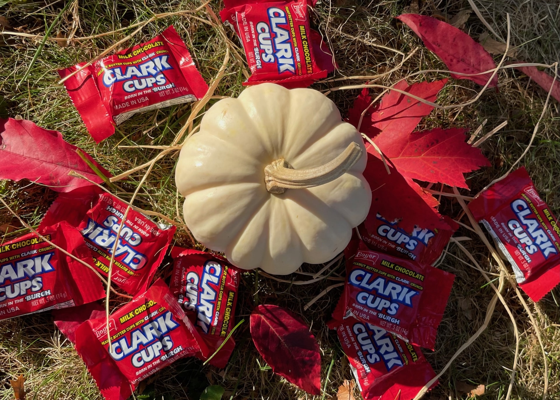 Clark Cup candies around a pumpkin in the fall.