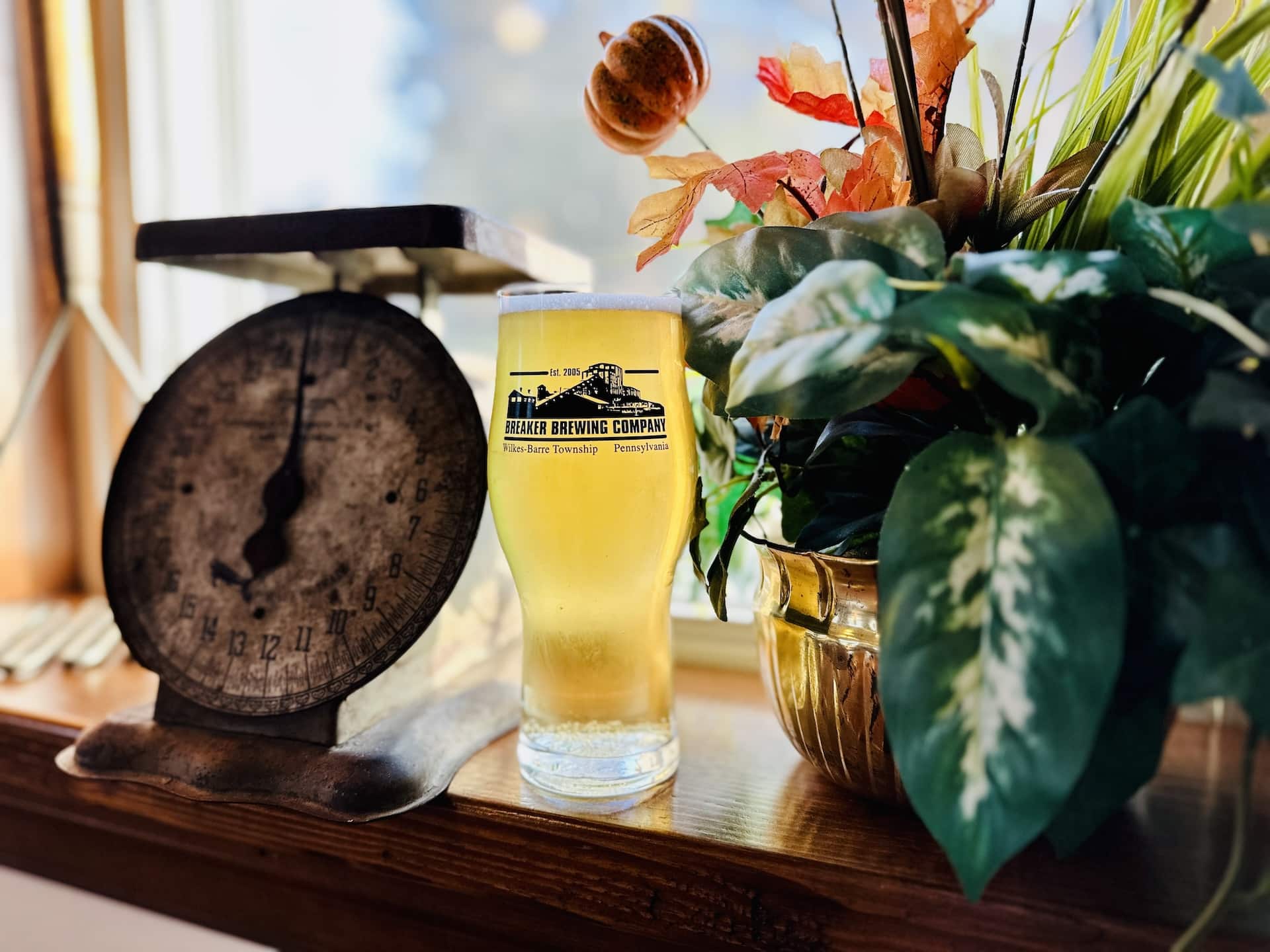 A glass of Coal Miner's Lager by Breaker Brewing Company.