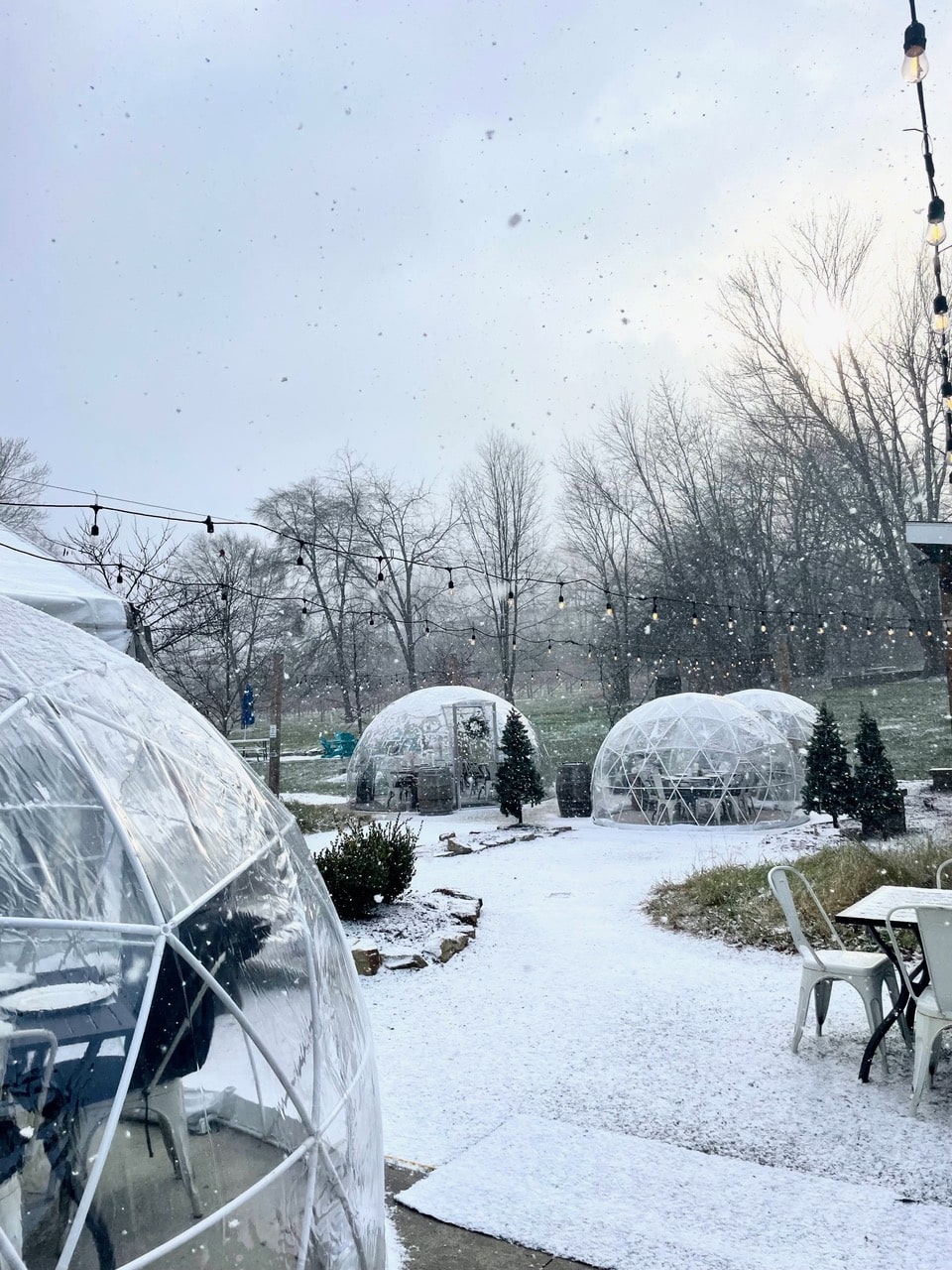 The igloos in the snow at Bella Terra Vineyards.