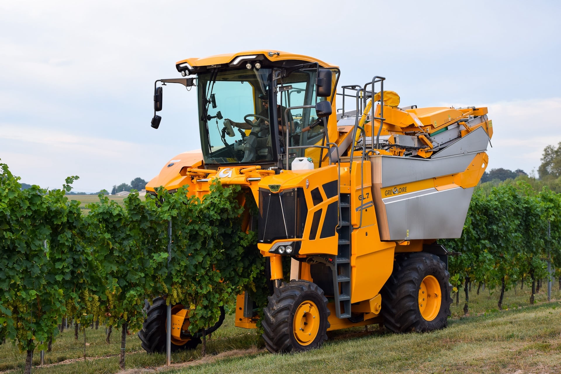 A large tractor harvesting at Waltz.