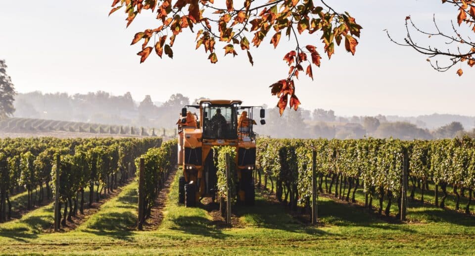 A tractor harvesting the grapes at Waltz Vineyards Estate Winery.