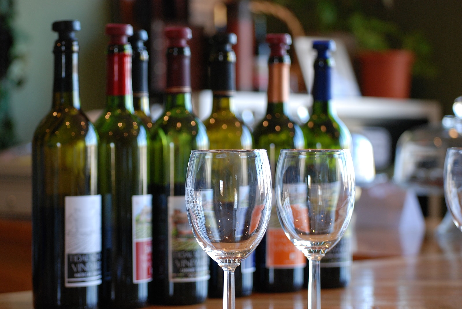 Wine glasses in front of wine bottles in a winery.