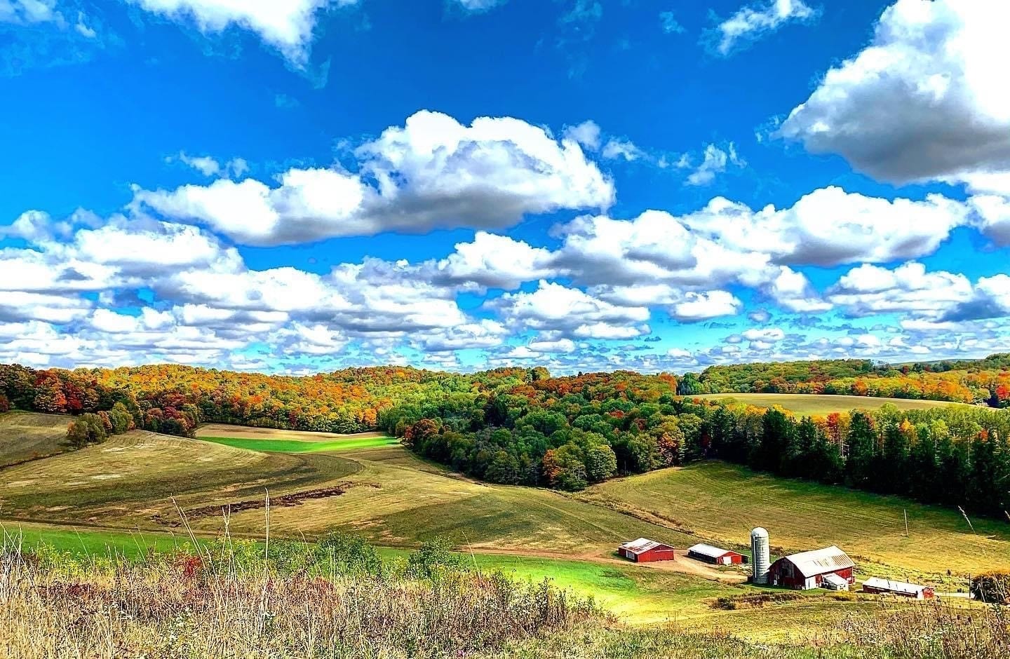 View of the hills and trees of Freeman Family Farm.