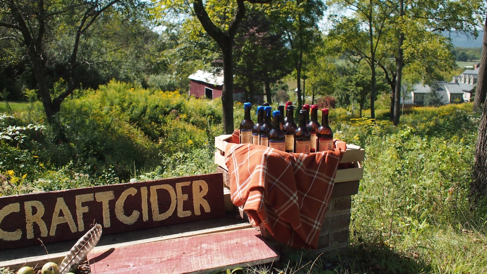 Cider wines in a basket at Laurel Spring Cidery.