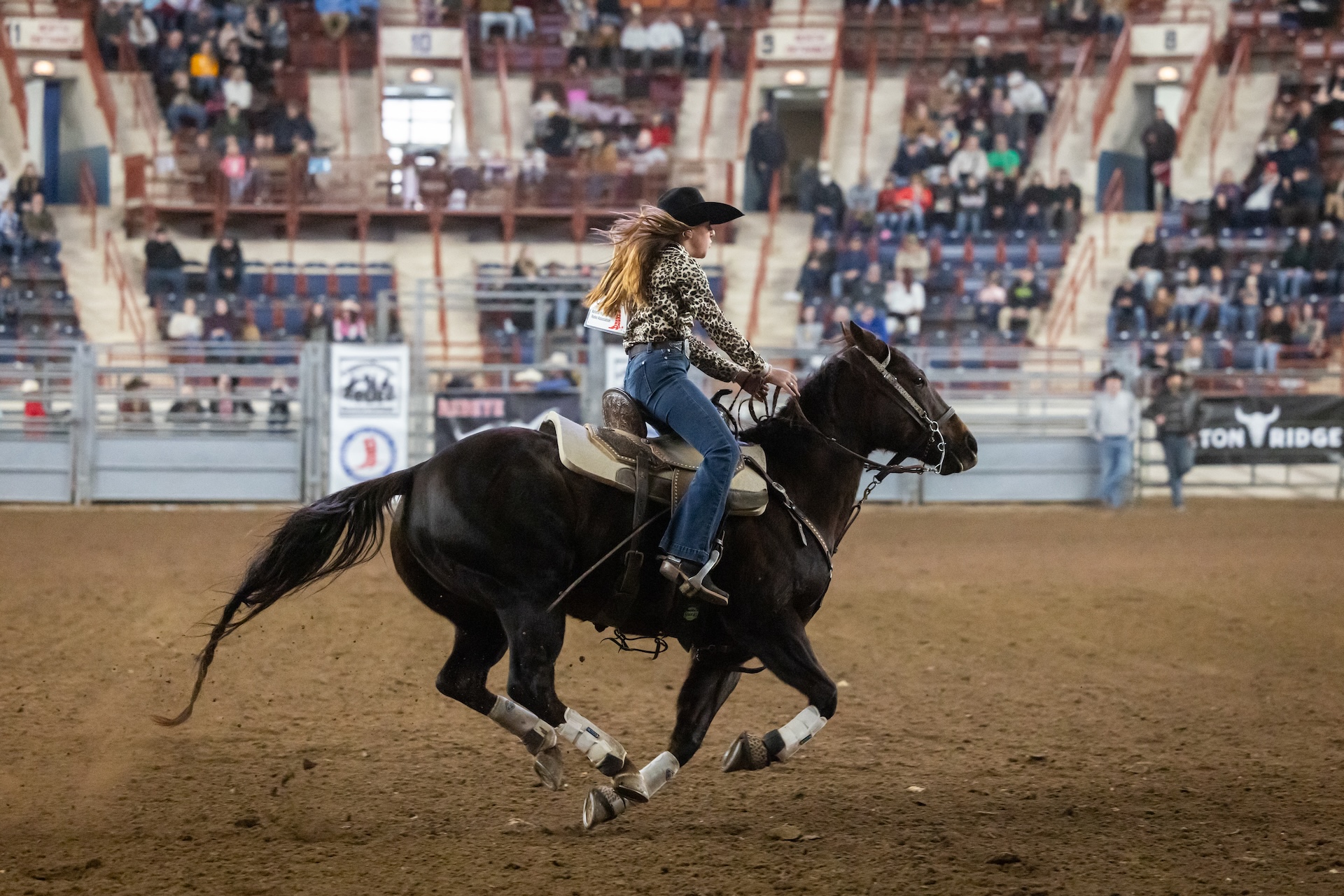 A woman riding at horse at Farm Show.