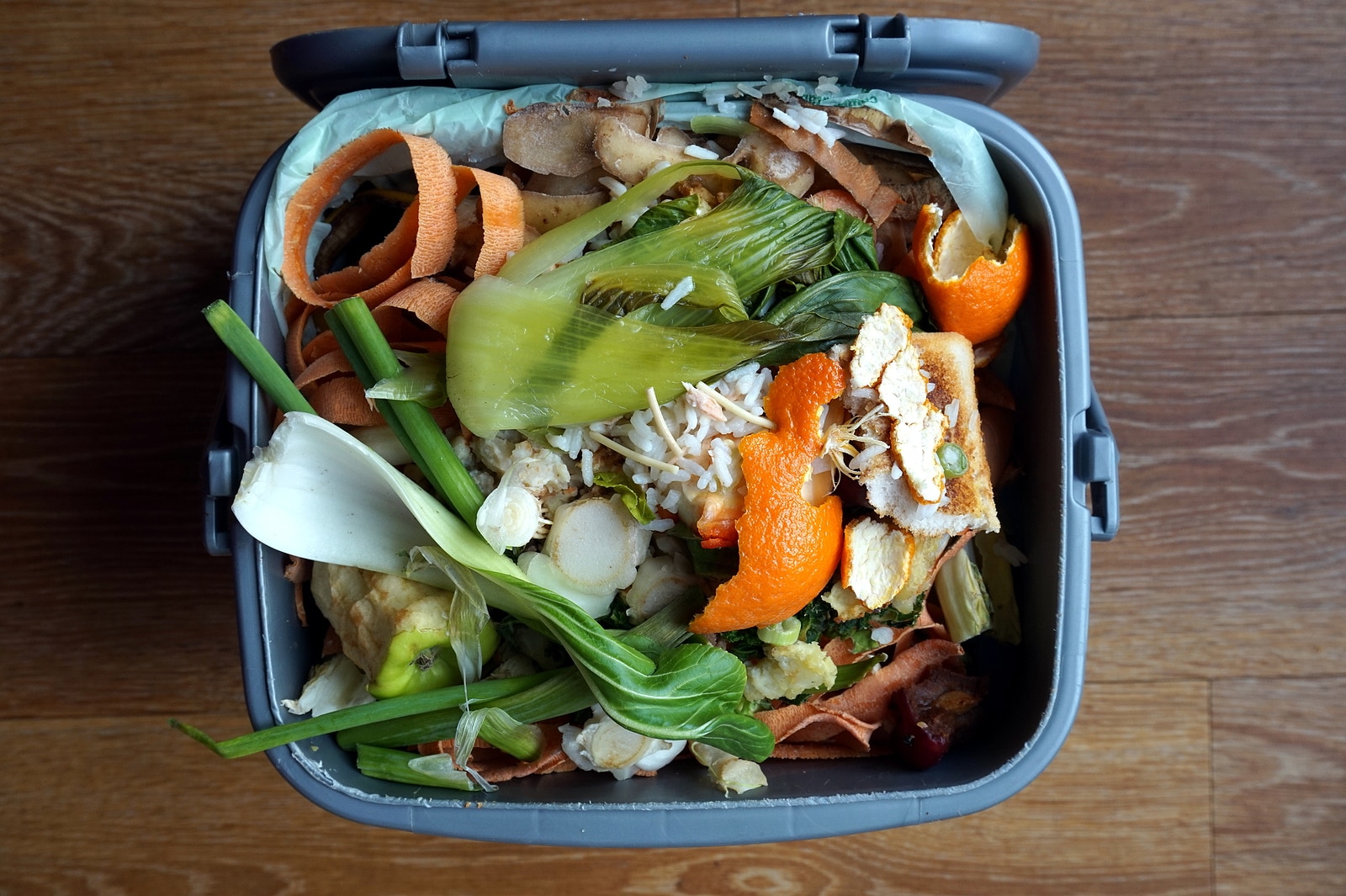 Container of domestic food waste ready to be collected by the recycling truck.