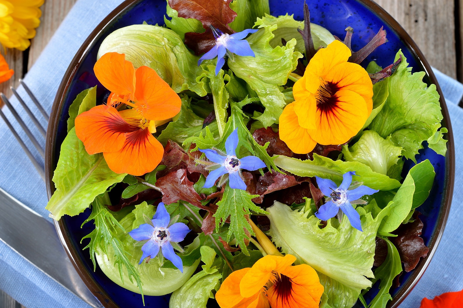 Salad with edible flowers like nasturtium.