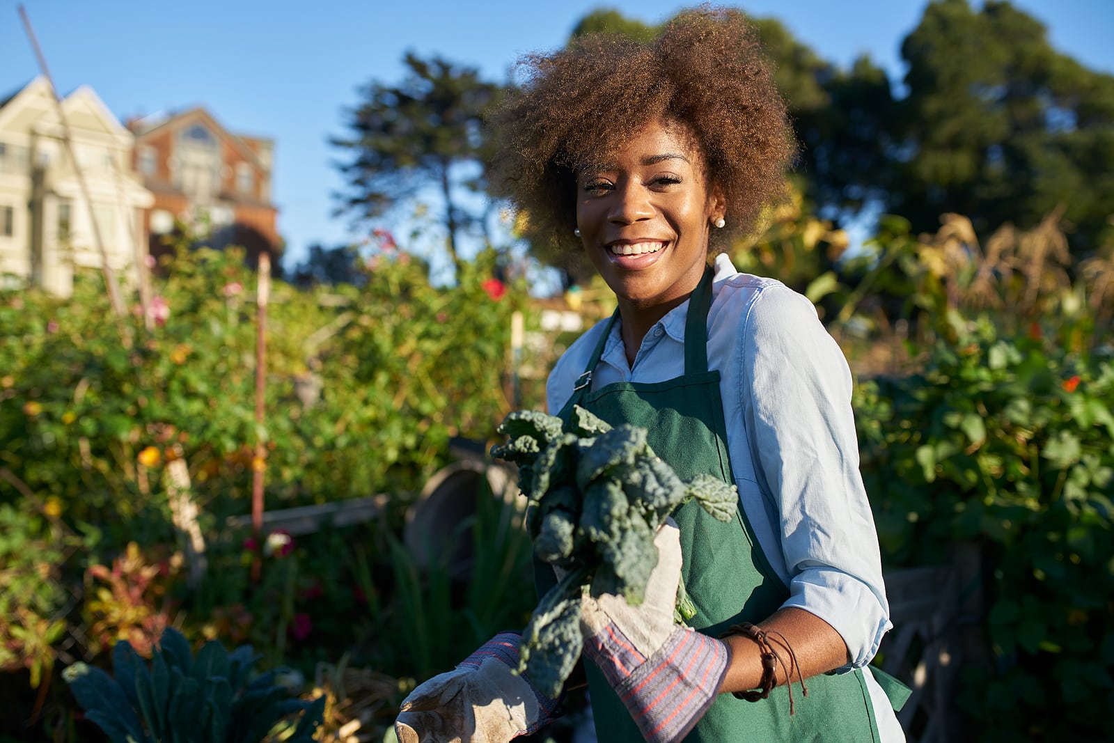 A woman holding kale in a garden.