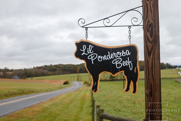 Lil' Ponderosa Beef sign in the shape of a cow.